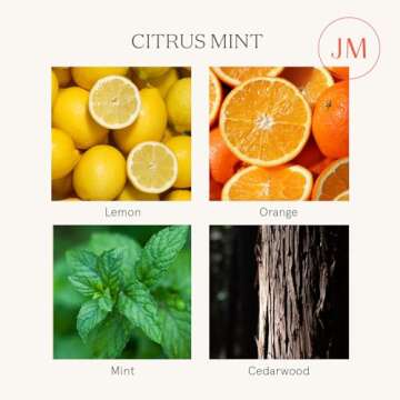 LA JOLIE MUSE Citrus Mint Scented Candle for Home Gift