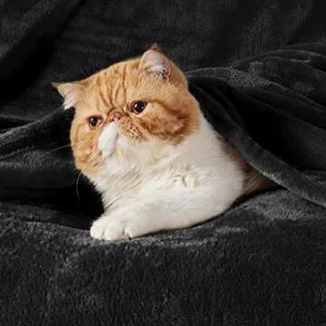 Luxurious Bedsure Fleece Blanket - Soft Lightweight Warm Cozy