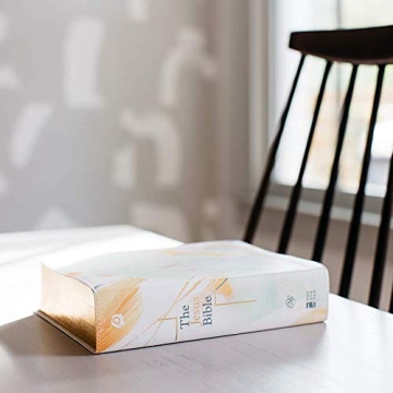 The Jesus Bible Artist Edition ESV Leathersoft Multi-color/Teal