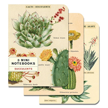 Mini Succulents Notebooks Set for Creative Writing