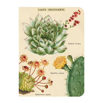 Mini Succulents Notebooks Set for Creative Writing