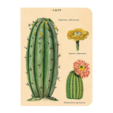 Mini Succulents Notebooks Set for Creative Writing