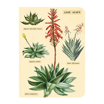 Mini Succulents Notebooks Set for Creative Writing