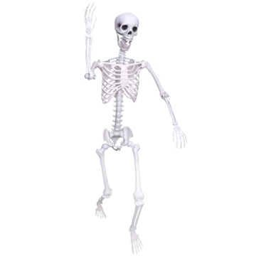 5.9Ft Halloween Posable Skeleton - Life Size Plastic Decor for Spooky Fun