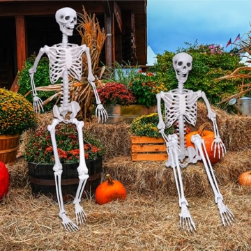 5.9Ft Halloween Skeleton | Life-Size Posable Decor