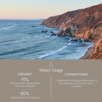 Coyuchi Cloud Loom Organic Hand Towels for Luxurious Daily Use