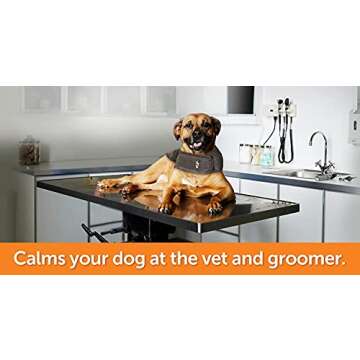 ThunderShirt Classic Dog Anxiety Jacket, Kelly Green, X-Large