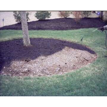 EnviroColor Black Mulch Dye | 32 oz Treats 2400 Ft² Mulch Dye Black, Black Mulch dye for Landscaping, Black Mulch Paint for Garden Beds, Wood Mulch Dye, Permanent Mulch Paint