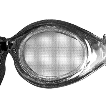 Bugz-Eye Safety Goggles with Anti Fog Steel Mesh Design
