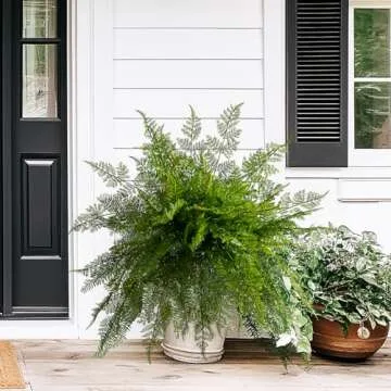 Bailikang 4PCS Lifelike Fake Fern Plants UV Resistant Artificial Boston Ferns for Outdoor Indoor Large Fake Greenery Plants No Wither for Front Porch Garden Window Home Decoration