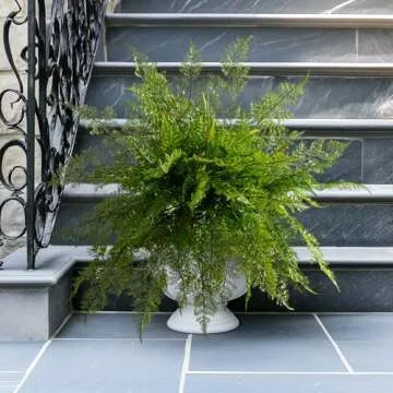 Bailikang 4PCS Lifelike Fake Fern Plants UV Resistant Artificial Boston Ferns for Outdoor Indoor Large Fake Greenery Plants No Wither for Front Porch Garden Window Home Decoration