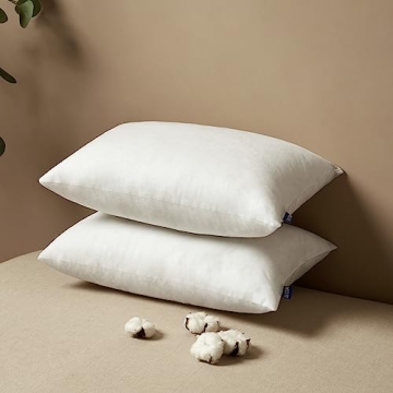 Premium Fluffy Lumbar Pillow Inserts 12x20 Set of 2