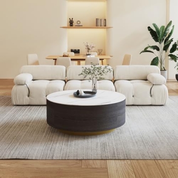 Sdorens Modern Round Coffee Table with 2 Drawers, Sintered Stone Tabletop and Golden Base, Center Ta...