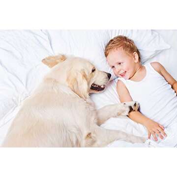 800 Thread Count 100% Egyptian Cotton Pillow Cases, White King Pillowcase Set of 2, Long-Staple Combed Pure Natural 100% Cotton Pillows for Sleeping, Soft & Silky Sateen Weave Bed Pillow Cover