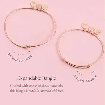 Alex Ani Expandable Graduation Rafaelian Bracelet