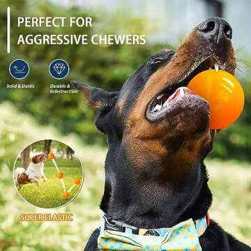 DLDER Indestructible Dog Toys - Solid Rubber Balls for Aggressive Chewers, 100% Safe & Non-Toxic, Fl...