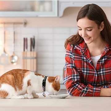 Stylish Safe Breakaway Cat Collars with Glow Bell