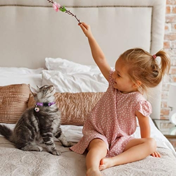 Stylish Safe Breakaway Cat Collars with Glow Bell