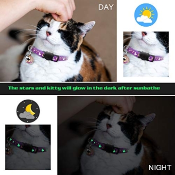 Stylish Safe Breakaway Cat Collars with Glow Bell