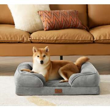 Bedsure Orthopedic Medium Dog Bed - Washable Comfort