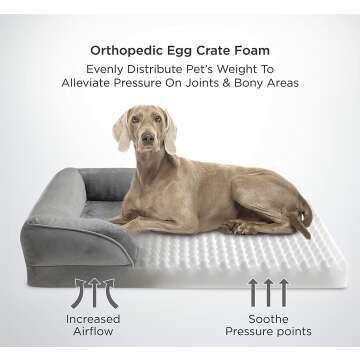 Bedsure Orthopedic Medium Dog Bed - Washable Comfort