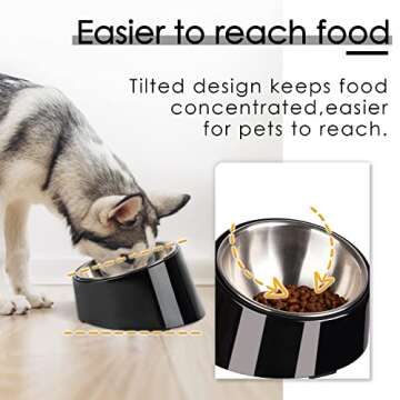 SuperDesign Mess Free 15° Slanted Bowl for Dogs and Cats, Tilted Angle Bulldog Bowl Dog Feeder, Non...