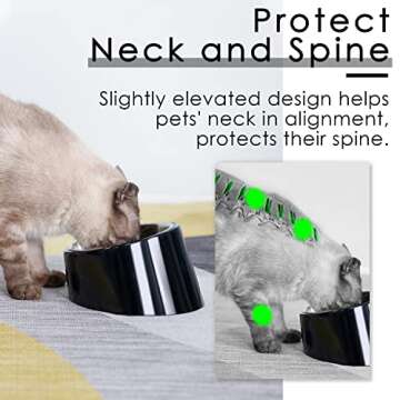 SuperDesign Mess Free 15° Slanted Bowl for Dogs and Cats, Tilted Angle Bulldog Bowl Dog Feeder, Non-Skid & Non-Spill, Easier to Reach Food M/1 Cup Dark Black