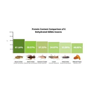 Mole Crickets Snack - High Protein & Sustainable 15g
