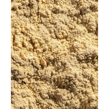 Ora Organic Vanilla Plant Protein Powder Vegan Gluten-Free