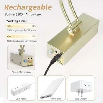 Yuichoy 2 Pack Picture Light Battery Operated for Wall, 16" Wireless Display Art Lighting for Painting with Remote, Dimmable 5200mAh Picture Frame Lights for Gallery, Antique Brass