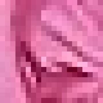 SheIn Women's Long Sleeve Self Tie Knot Front Satin Crop Top Blouse Shirt Rose Red Medium