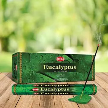 Hem Eucalyptus for Cleansing & Relaxing Incense Sticks - Pack of 6 (20 Sticks Each)