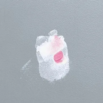 Dap DryDex Spackling 1 qt for Home Repairs Made Easy