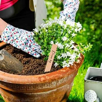 Whaline 100Pcs Wooden Plant Labels Pointed Wooden Garden Markers Waterproof Eco-Friendly Plant Sign Tags Decorative Garden Tags for Seed Potted Herbs Flowers Vegetables with 2 Marker Pen (15 x 2 cm)