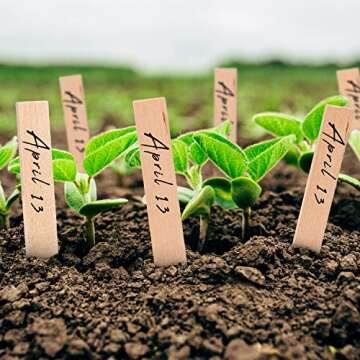 Whaline 100Pcs Wooden Plant Labels Pointed Wooden Garden Markers Waterproof Eco-Friendly Plant Sign Tags Decorative Garden Tags for Seed Potted Herbs Flowers Vegetables with 2 Marker Pen (15 x 2 cm)