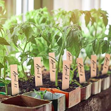 Whaline 100Pcs Wooden Plant Labels Pointed Wooden Garden Markers Waterproof Eco-Friendly Plant Sign Tags Decorative Garden Tags for Seed Potted Herbs Flowers Vegetables with 2 Marker Pen (15 x 2 cm)