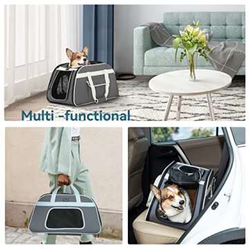 Petsfit Pet Carrier with Removable Wheels for Travel