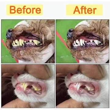 Zeyaa 10 Pack Pet Dog Toothbrush, 2 Triple Head Pet Toothbrushes 3 Double Head Tooth Brush 5 Pack Finger Rubber Toothbrushes, Multi-Angle Dental Cleaning Brushes for Dog Cat Oral Dental Health