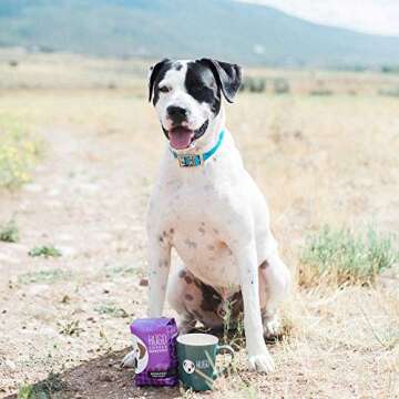 Hugo Coffee Dark Roast Bundle - Save Dogs with Every Cup