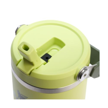 Stanley IceFlow 2.0 Flip Straw Tumbler with Handle 30 oz | Leakproof & Insulated Stainless Steel | P...