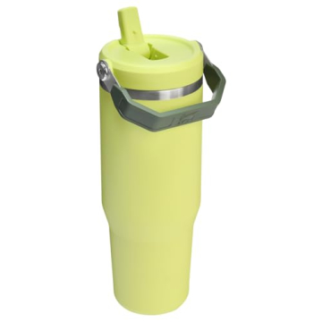 Stanley IceFlow Flip Straw Tumbler | Leakproof Insulated 30 oz