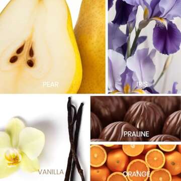 Sapil Ode Eau de Parfum for Women - Long-lasting Dubai Perfume EDP Spray - Fruity, Floral, Vanilla & Woody Scent - Luxurious Arabic Cologne for Women - 3.4 Oz (100ml) - Ideal Daily & Evening Wear