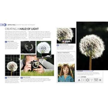The Ultimate Beginner's Guide to Photography