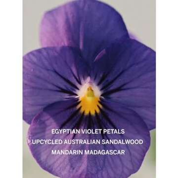 Victoria's Secret Bare Fragrance Mist, Notes of Australian Sandalwood, Mandarin Madagascar & Egyptia...