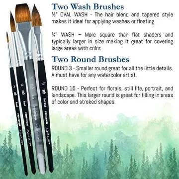 Princeton Artist Brush Co. Aqua Elite Professional Watercolor Paint Brushes 4850 Series - 4pc Synthetic Kolinsky Sable Watercolor Brush Set - Gouache Brushes