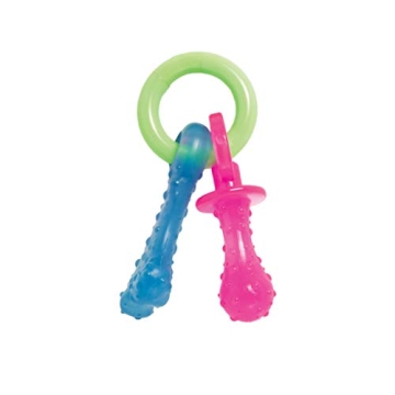 Nylabone Puppy Teething Pacifier - Durable Chew Toy