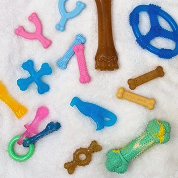 Nylabone Puppy Teething Pacifier - Durable Chew Toy