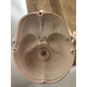 Maad Scientific Anatomical Human Skeleton Model - 1/2 Life Sized - 85 cm with Metal Base