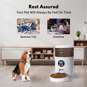 WOPET Automatic Cat Feeder for Timely Feedings