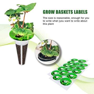 KINBOM 120pcs Plant Grow Stickers, Grow Baskets Labels Hydroponic Plant Label for Seedlings Garden Pods Plant Labels for Labeling Plants and Understanding Plant Growth